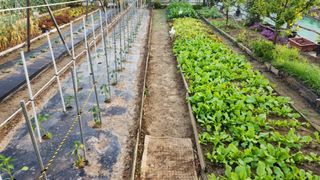 LUCAS님의 팜이웃과 출근/퇴근 같이해요! · 참여글 작성글 사진