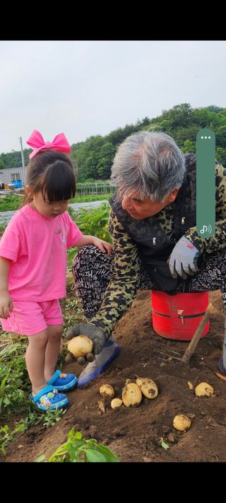 마늘7336님의 팜이웃과 출근/퇴근 같이해요! · 참여글 작성글 사진