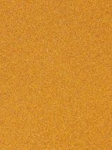 팜모닝 자유주제·자유게시판 게시글 이미지