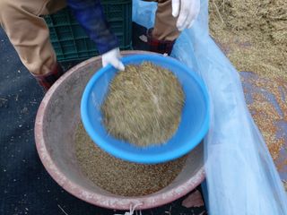 김명복님의 자유주제 · 자유게시판 작성글 사진