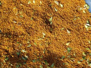 김명복님의 자유주제 · 자유게시판 작성글 사진