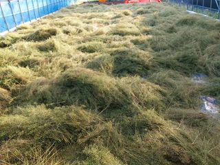 김명복님의 자유주제 · 자유게시판 작성글 사진