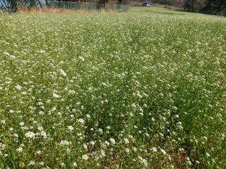 김명복님의 자유주제 · 자유게시판 작성글 사진