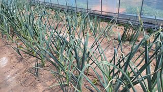 대파16548님의 자유주제 · 자유게시판 작성글 사진