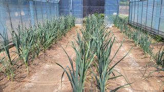 대파16548님의 자유주제 · 자유게시판 작성글 사진