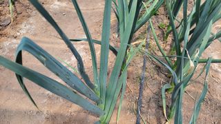 대파16548님의 자유주제 · 자유게시판 작성글 사진