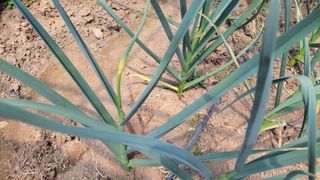 대파16548님의 자유주제 · 자유게시판 작성글 사진