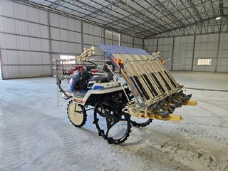 김환성님의 작성글 사진