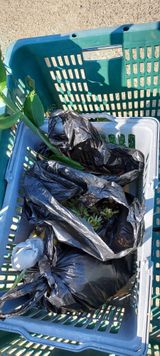 팜모닝 팜이웃과 출근/퇴근 같이해요!·참여글 게시글 이미지