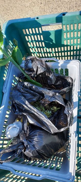 이경옥님의 팜이웃과 출근/퇴근 같이해요! · 참여글 작성글 사진