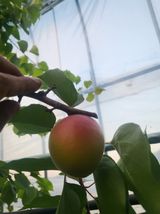 팜모닝 자유주제·자유게시판 게시글 이미지