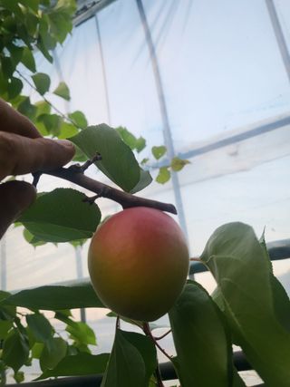 두릅나무9110님의 자유주제 · 자유게시판 작성글 사진