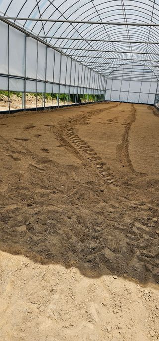 뿌리묘목농원님의 자유주제 · 자유게시판 작성글 사진