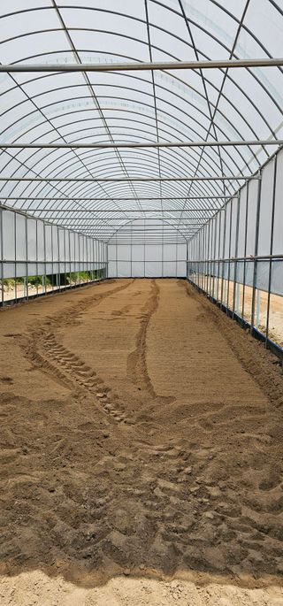 뿌리묘목농원님의 자유주제 · 자유게시판 작성글 사진