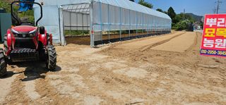 뿌리묘목농원님의 자유주제 · 자유게시판 작성글 사진