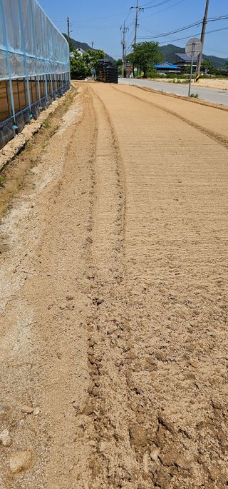 뿌리묘목농원님의 자유주제 · 자유게시판 작성글 사진