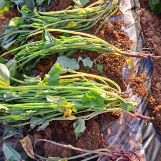 bpjh9173님의 자유주제 · 자유게시판 작성글 사진