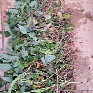 bpjh9173님의 자유주제 · 자유게시판 작성글 사진