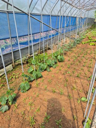 위풍당당님의 자유주제 · 자유게시판 작성글 사진