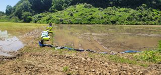 신승철님의 벼 · 영농일지 작성글 사진