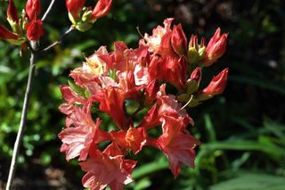 두메농원님의 자유주제 · 자유게시판 작성글 사진