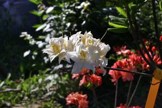 두메농원님의 자유주제 · 자유게시판 작성글 사진