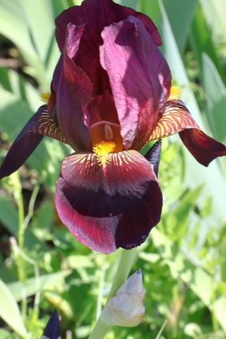 두메농원님의 자유주제 · 자유게시판 작성글 사진