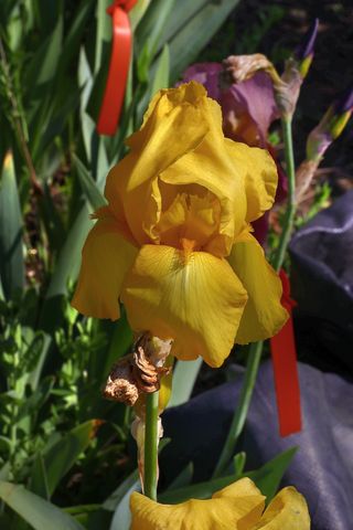 두메농원님의 자유주제 · 자유게시판 작성글 사진