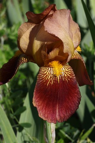 두메농원님의 자유주제 · 자유게시판 작성글 사진