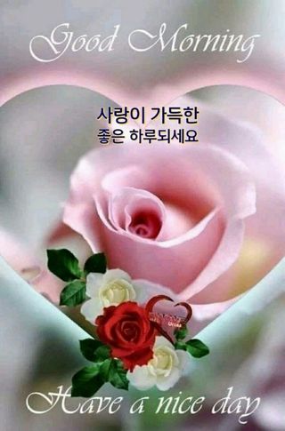 알 수 없음님의 자유주제 · 자유게시판 작성글 사진