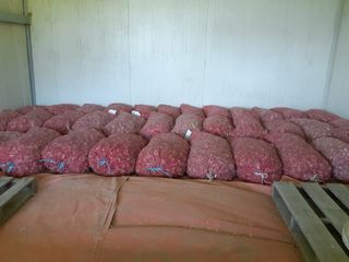 황석면님의 자유주제 · 자유게시판 작성글 사진