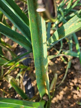 김영옥님의 자유주제 · 자유게시판 작성글 사진