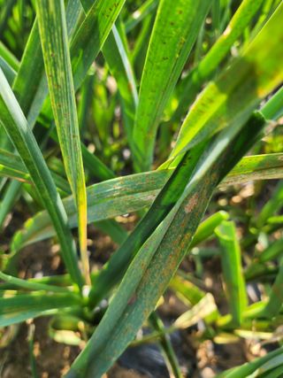 김영옥님의 자유주제 · 자유게시판 작성글 사진