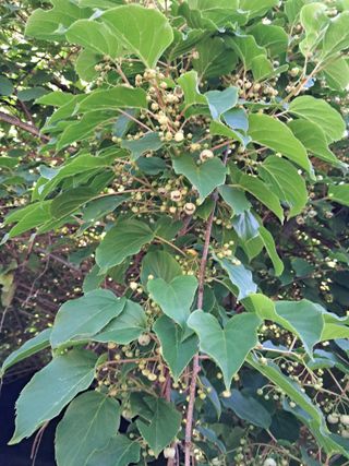 경선님의 자유주제 · 자유게시판 작성글 사진