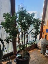 팜모닝 자유주제·자유게시판 게시글 이미지