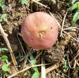 팜모닝 자유주제·자유게시판 게시글 이미지