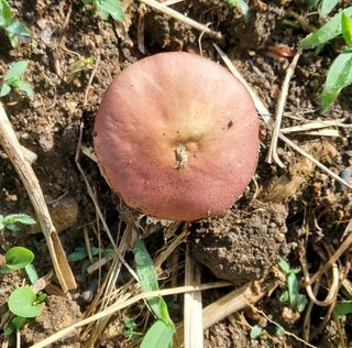 ogapiall님의 자유주제 · 자유게시판 작성글 사진