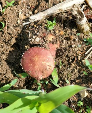 ogapiall님의 자유주제 · 자유게시판 작성글 사진