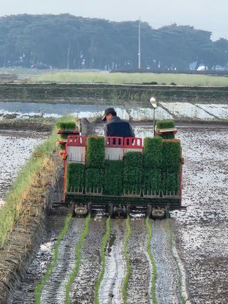 유길순님의 자유주제 · 자유게시판 작성글 사진