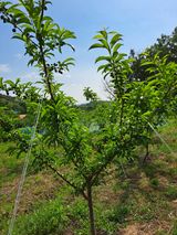 팜모닝 팜이웃과 출근/퇴근 같이해요!·참여글 게시글 이미지