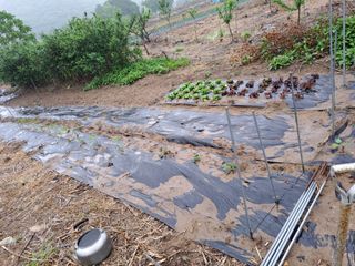 서종국님의 팜이웃과 출근/퇴근 같이해요! · 참여글 작성글 사진