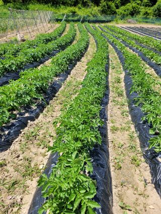 최기인님의 자유주제 · 자유게시판 작성글 사진