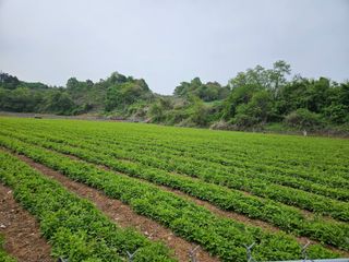 박창수님의 자유주제 · 자유게시판 작성글 사진