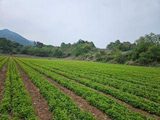 박창수님의 자유주제 · 자유게시판 작성글 사진