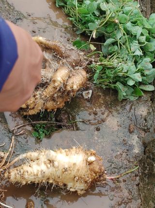 히나팜님의 자유주제 · 사진전 작성글 사진