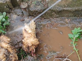 히나팜님의 자유주제 · 사진전 작성글 사진