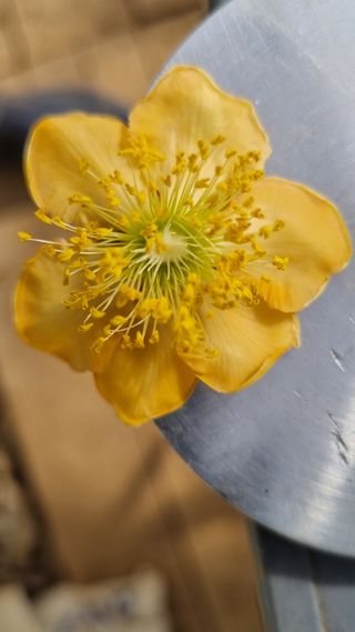 독뫼너머님의 농사, 무엇이든 물어보세요! · 참여글 작성글 사진