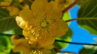 독뫼너머님의 농사, 무엇이든 물어보세요! · 참여글 작성글 사진