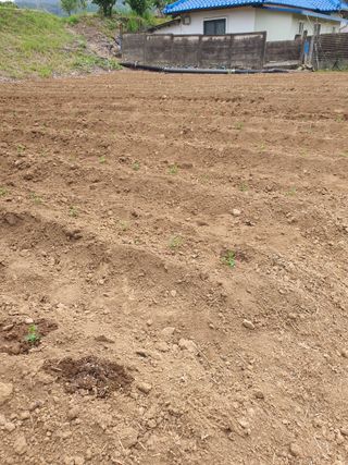 소금님의 자유주제 · 자유게시판 작성글 사진