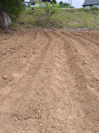 소금님의 자유주제 · 자유게시판 작성글 사진